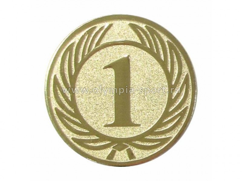 Вкладыш D2 A36 (1-е место) 50mm