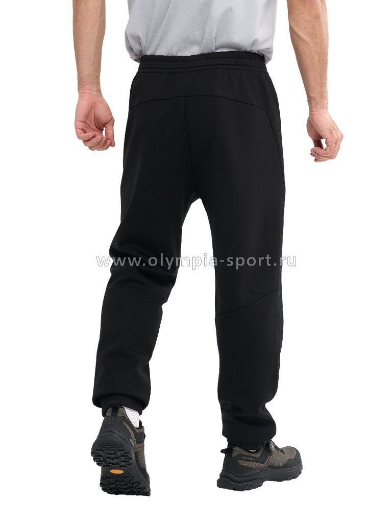 Брюки мужские Strobbs E2405-3 черный